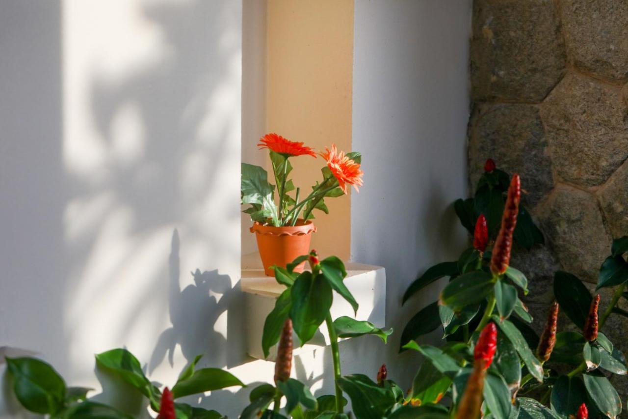 Prima Villas Karon Phuket Ban Karon 외부 사진